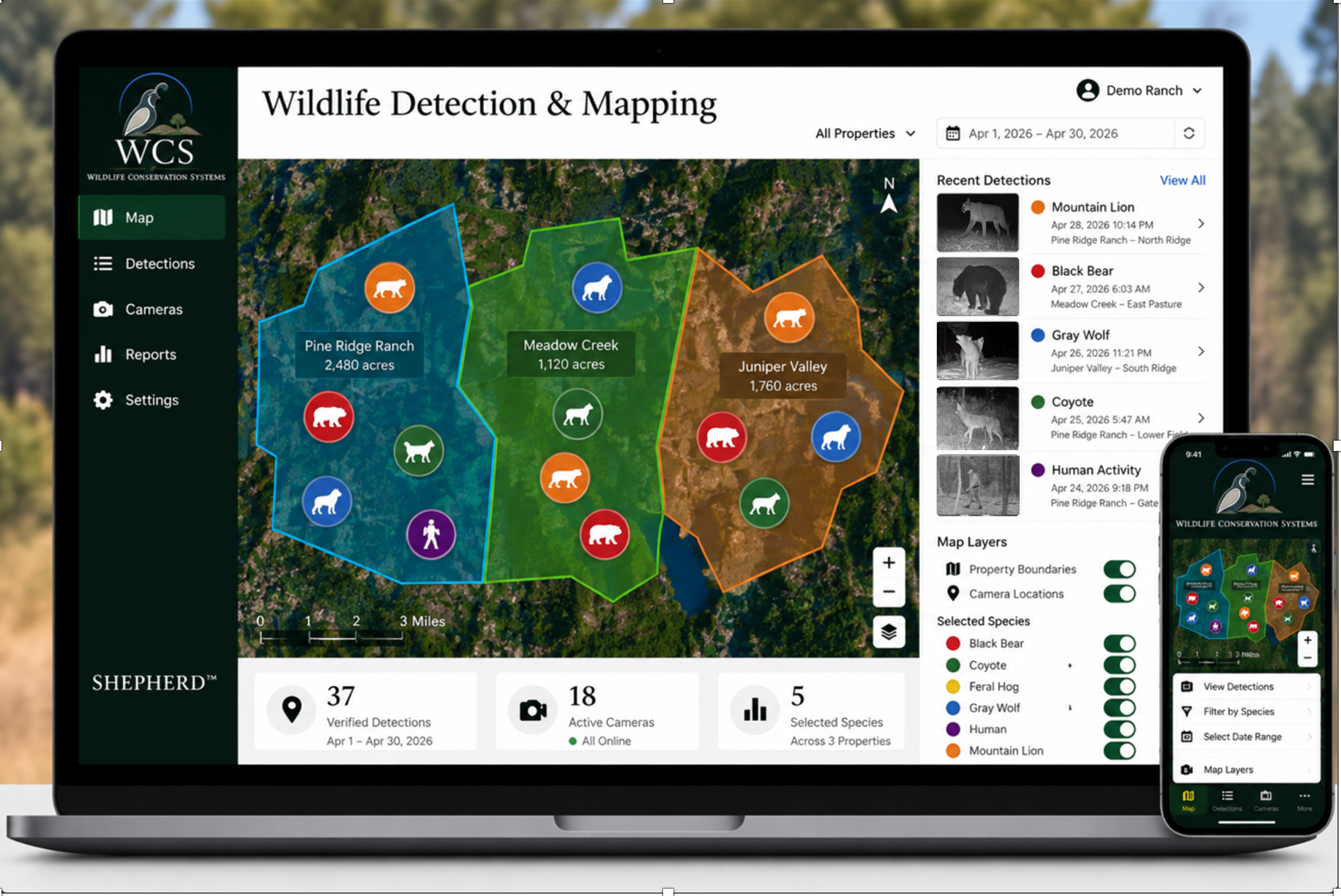 Wildlife Detection & Mapping interface showing property boundaries, species detection markers, and recent detections sidebar across multiple California properties